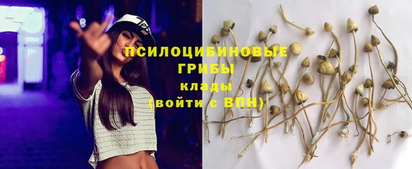 мяу мяу мука Балабаново