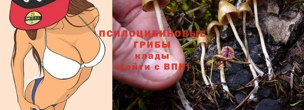a pvp Баксан